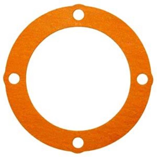 Picture of RolAir 30502310CH Pump Gasket