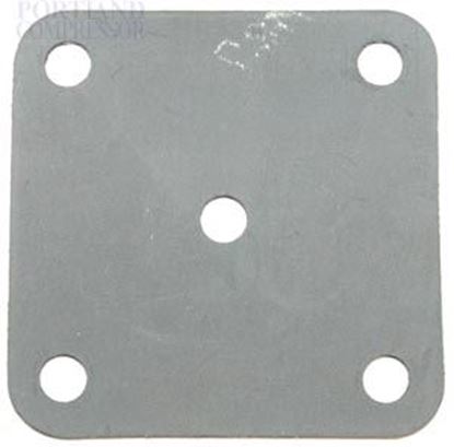 Picture of Ingersoll Rand 35172923 Diaphragm Plate