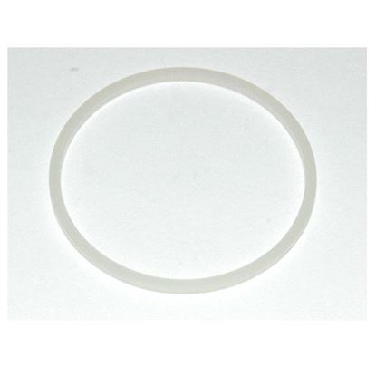 Picture of Wagner 53333 Manifold Filter Gasket
