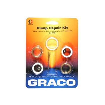 Picture of Pump Repair Kit, 30:1 President