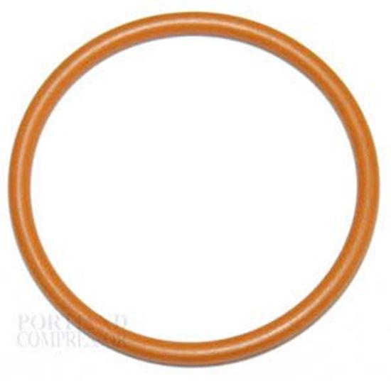 Picture of Graco 110066 Diffuser Packing