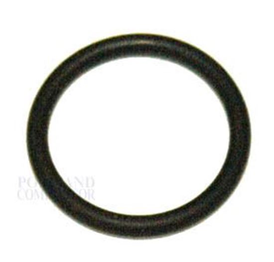 Picture of Wagner SprayTech 0089501 O-Ring