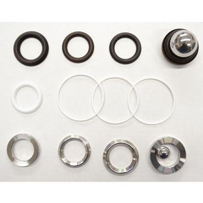 Picture of Pump Repair Kit, Dura-Flow 900 SS