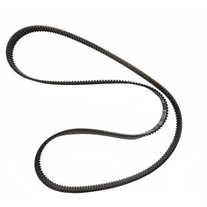 Picture of TexSpray Belt