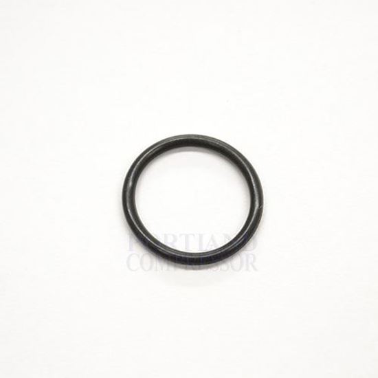Picture of O-ring Packing, CleanShot Valve