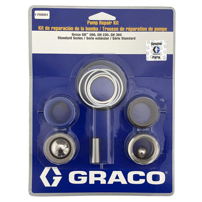 Picture of Graco 17D601 Pump Repair Kit For GH Standard 230, 300