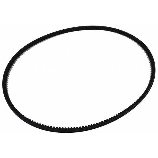 Picture of Chicago Pneumatic 0367 0100 58 OEM Replacement Belt for QRS7.5HP