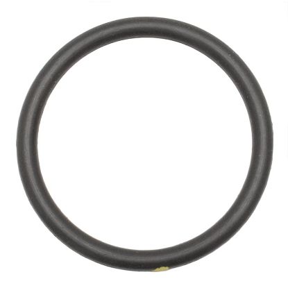 Picture of Ingersoll Rand OEM 39404173 O-ring