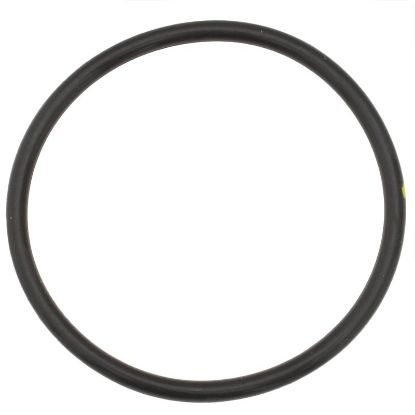 Picture of Ingersoll Rand OEM 95987988 O-ring