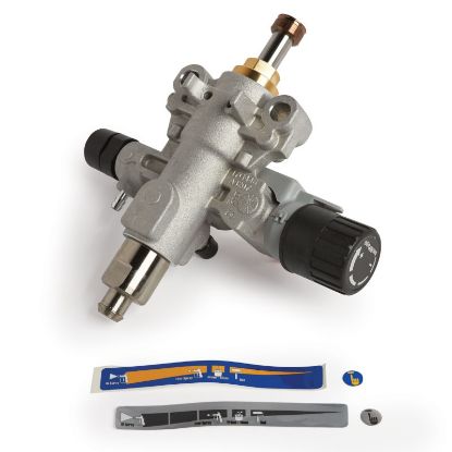 Picture of Graco 17J874 Pump Assembly Replacement Kit for ProX17, ProX19