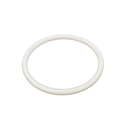 Picture of Titan 704-297 Teflon O-Ring
