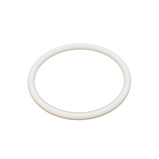 Picture of Titan 704-297 Teflon O-Ring