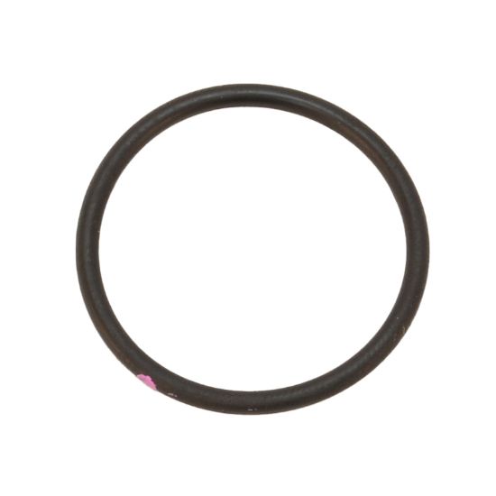 Picture of Graco Inlet Tube O-Ring