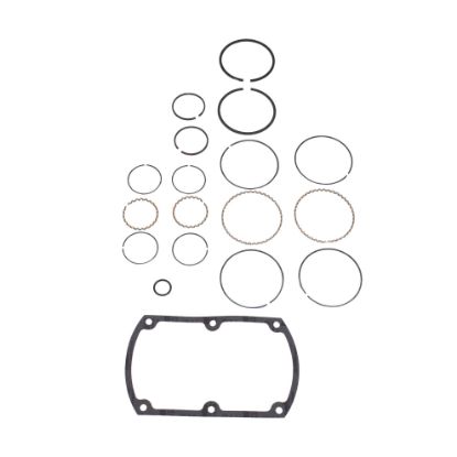 Picture of Ingersoll Rand 85580470 Ring Kit
