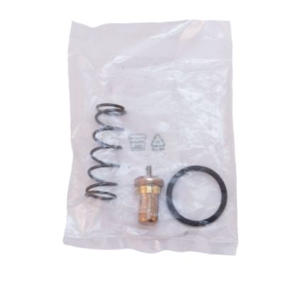Picture of Ingersoll Rand OEM 49144587001 Thermal Valve