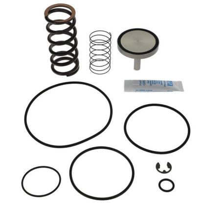 Picture of Atlas Copco OEM 2901 1453 00 Minimum Pressure Check Valve Repair Kit 2901145300