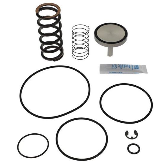 Picture of Atlas Copco OEM 2901 1453 00 Minimum Pressure Check Valve Repair Kit 2901145300