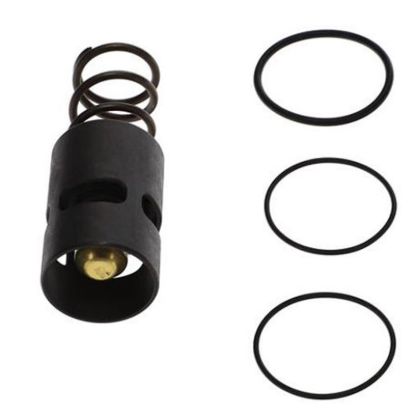 Picture of Atlas Copco OEM 2901161600 Thermostatic Valve Kit for GX7 and GX11 Compressors