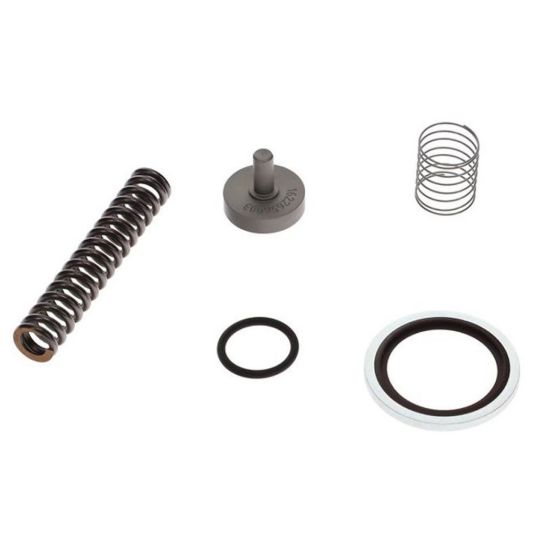 Picture of Atlas Copco 2901141150 OEM Minimum Pressure Check Valve Kit MPCV for GX7 and GX11 Compressors